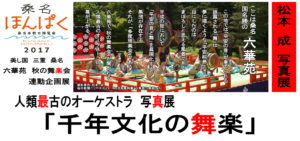 ほんぱくＹ－４